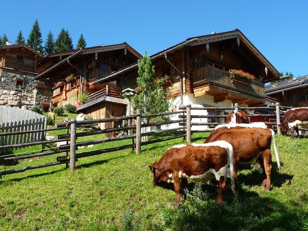 Almdorf Flachau - Luxus Huettenurlaub Oda fotoğraf